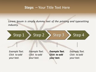 Beach Coastal Wellness PowerPoint Template