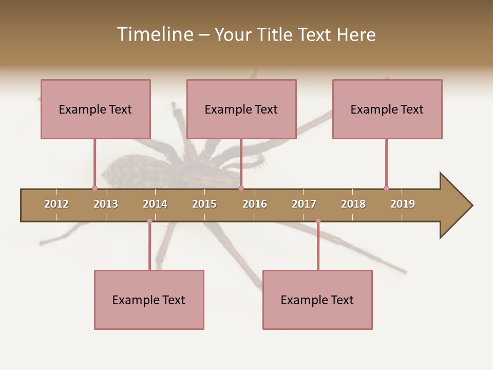 Beach Coastal Wellness PowerPoint Template