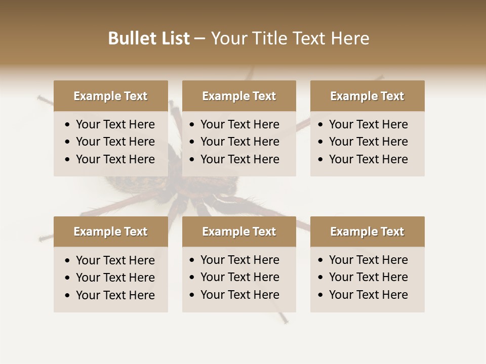 Beach Coastal Wellness PowerPoint Template
