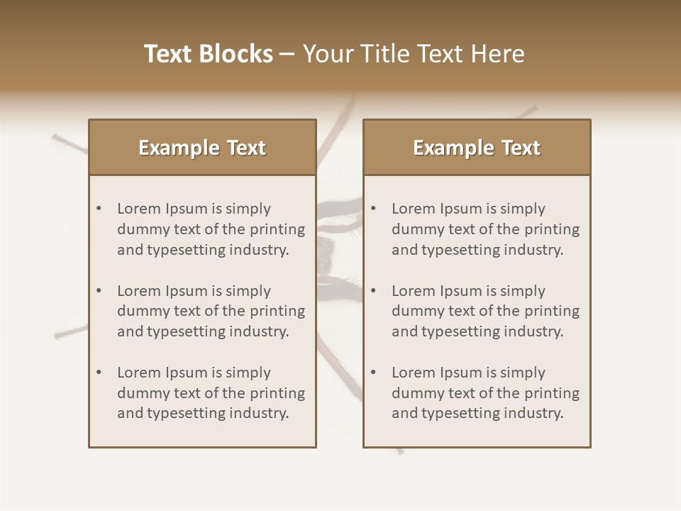 Beach Coastal Wellness PowerPoint Template