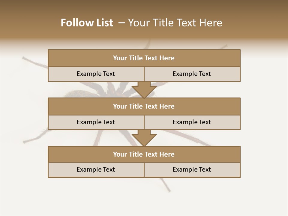 Beach Coastal Wellness PowerPoint Template