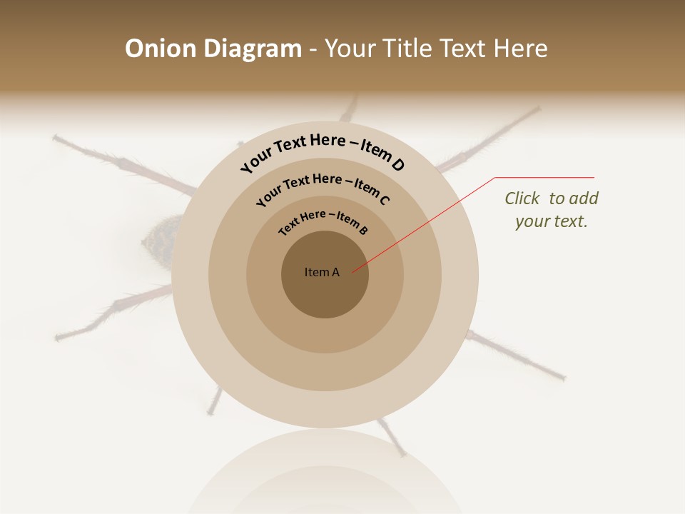 Beach Coastal Wellness PowerPoint Template