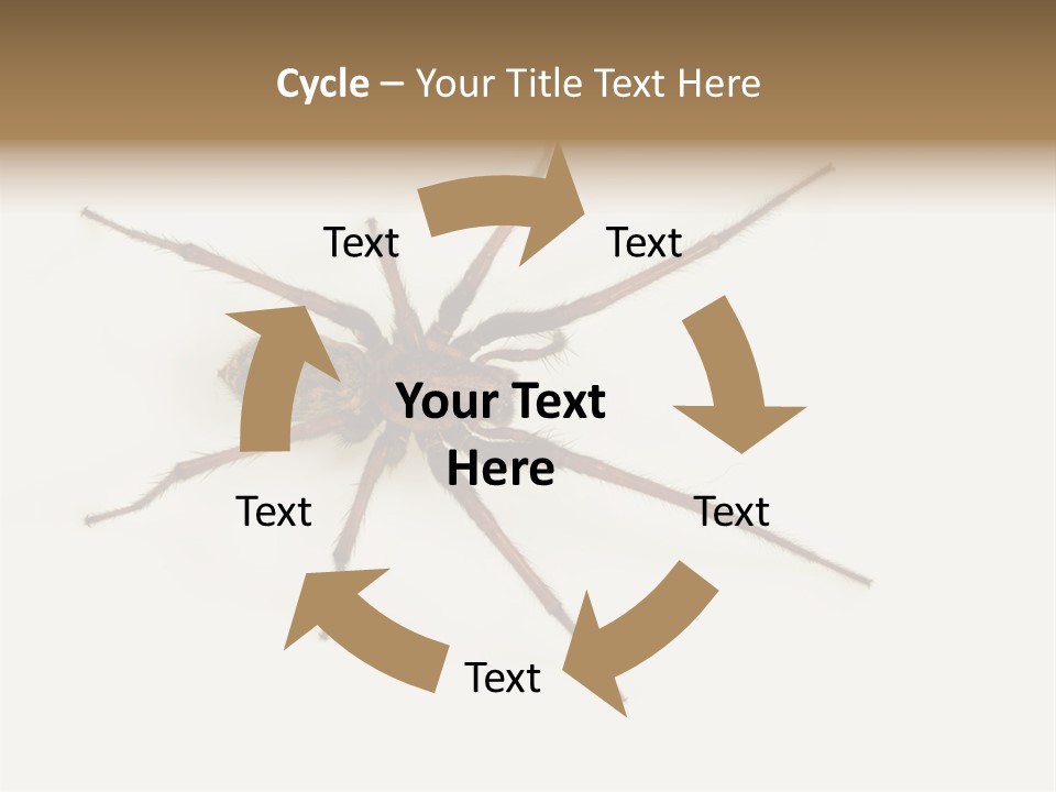 Beach Coastal Wellness PowerPoint Template