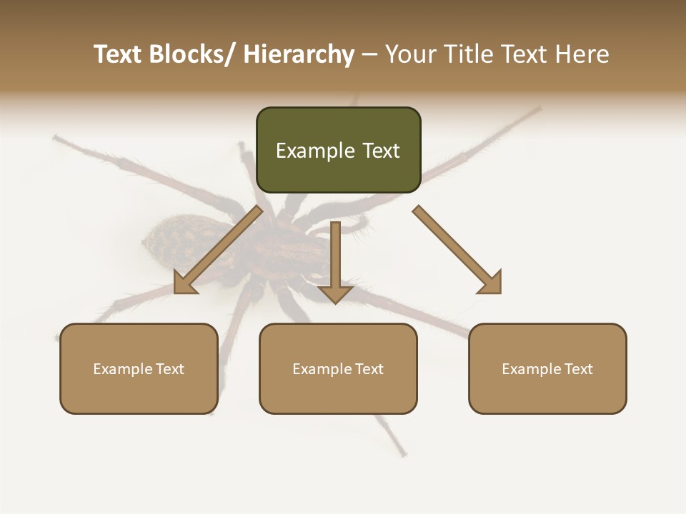 Beach Coastal Wellness PowerPoint Template