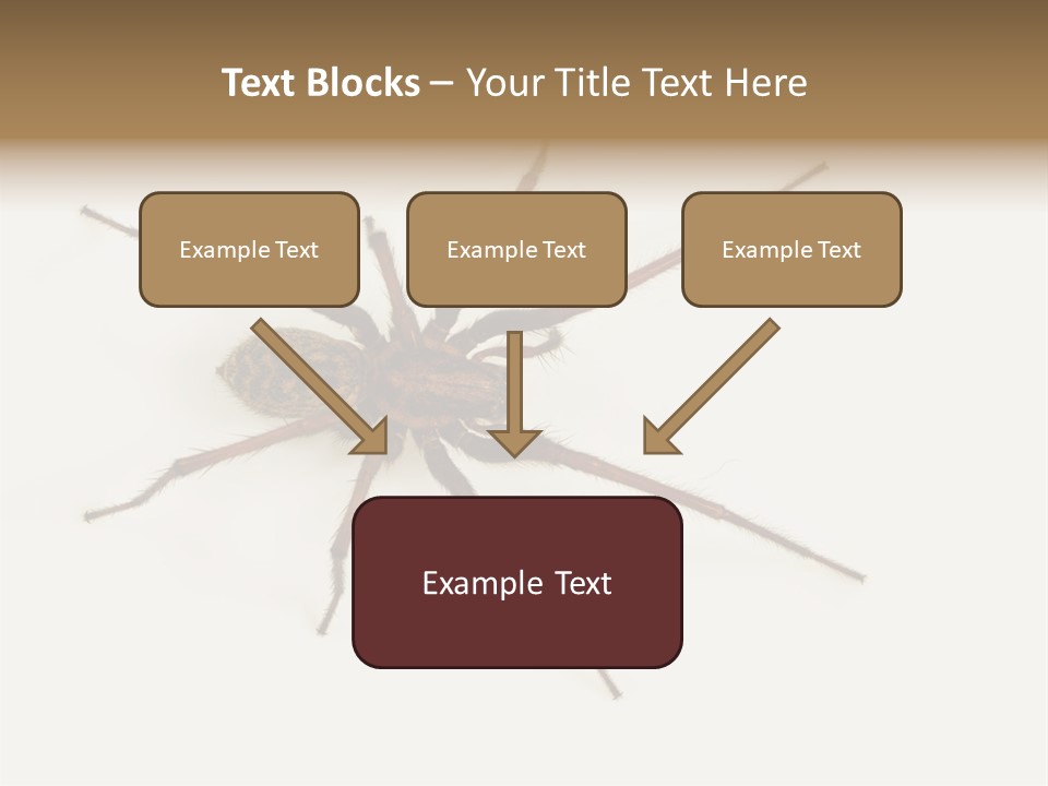 Beach Coastal Wellness PowerPoint Template
