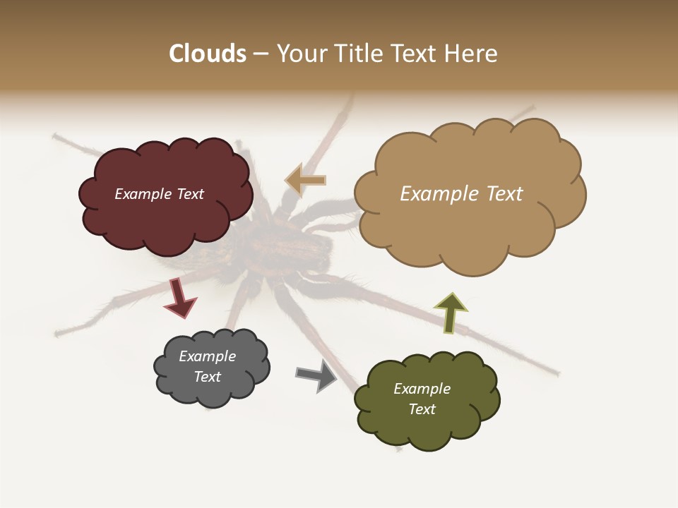 Beach Coastal Wellness PowerPoint Template