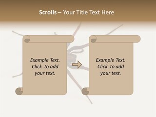 Beach Coastal Wellness PowerPoint Template
