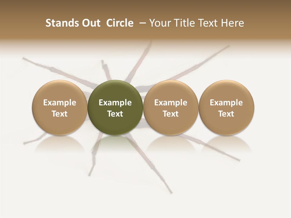 Beach Coastal Wellness PowerPoint Template