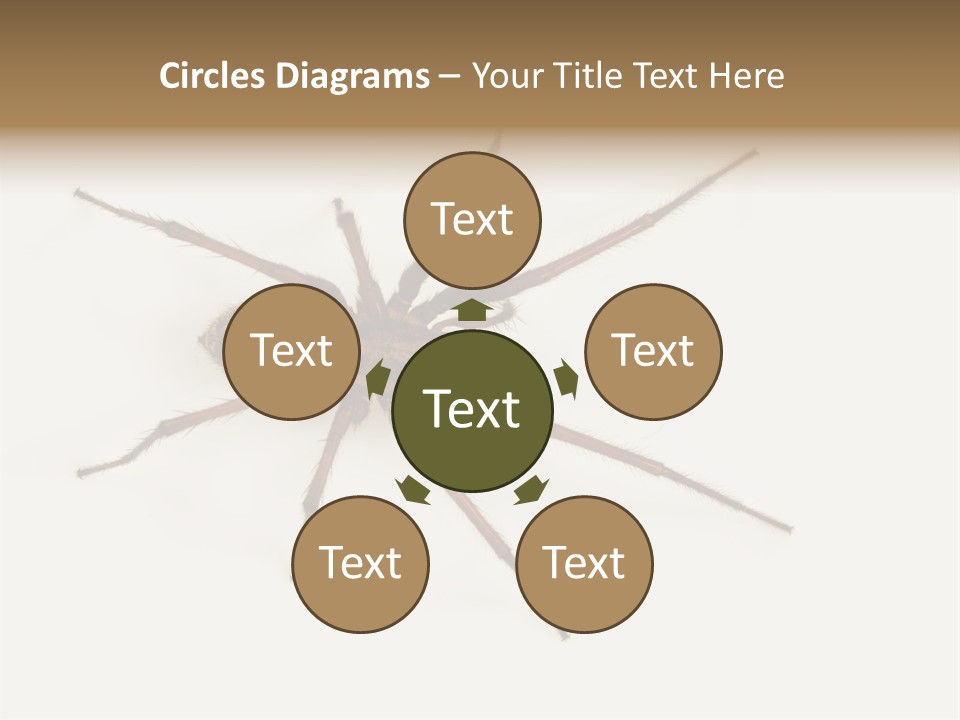 Beach Coastal Wellness PowerPoint Template