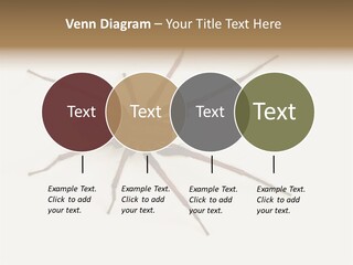 Beach Coastal Wellness PowerPoint Template