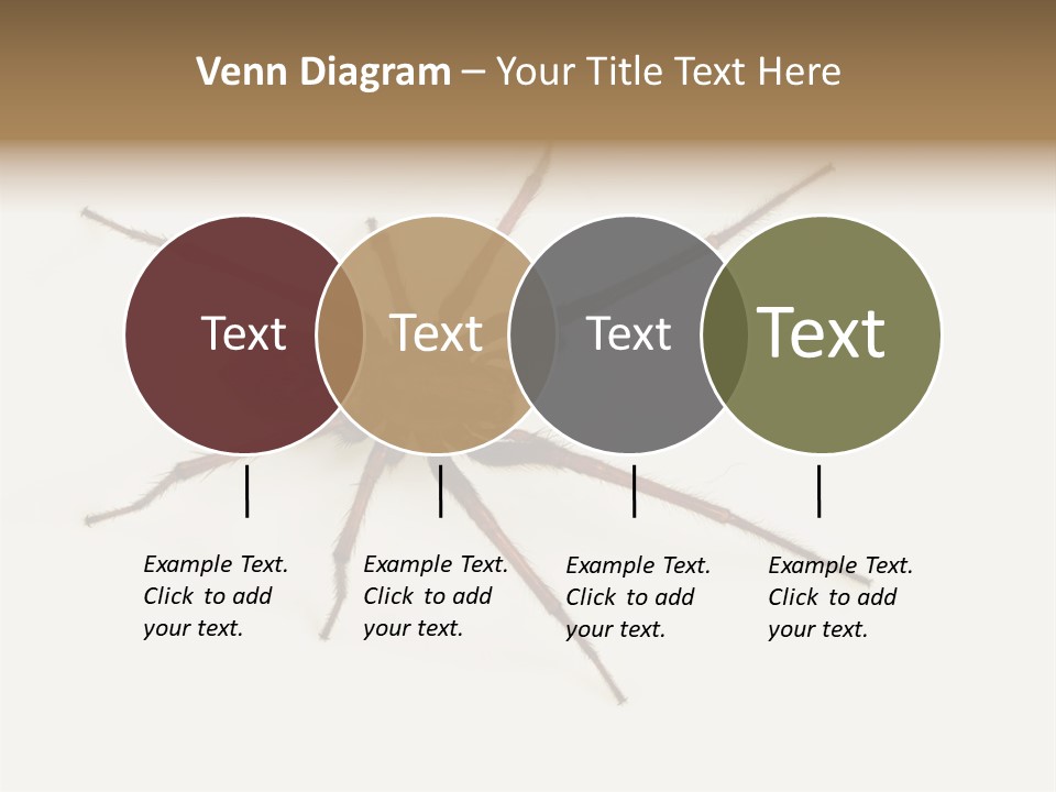 Beach Coastal Wellness PowerPoint Template