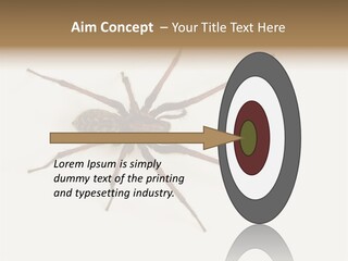 Beach Coastal Wellness PowerPoint Template