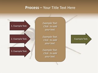 Beach Coastal Wellness PowerPoint Template