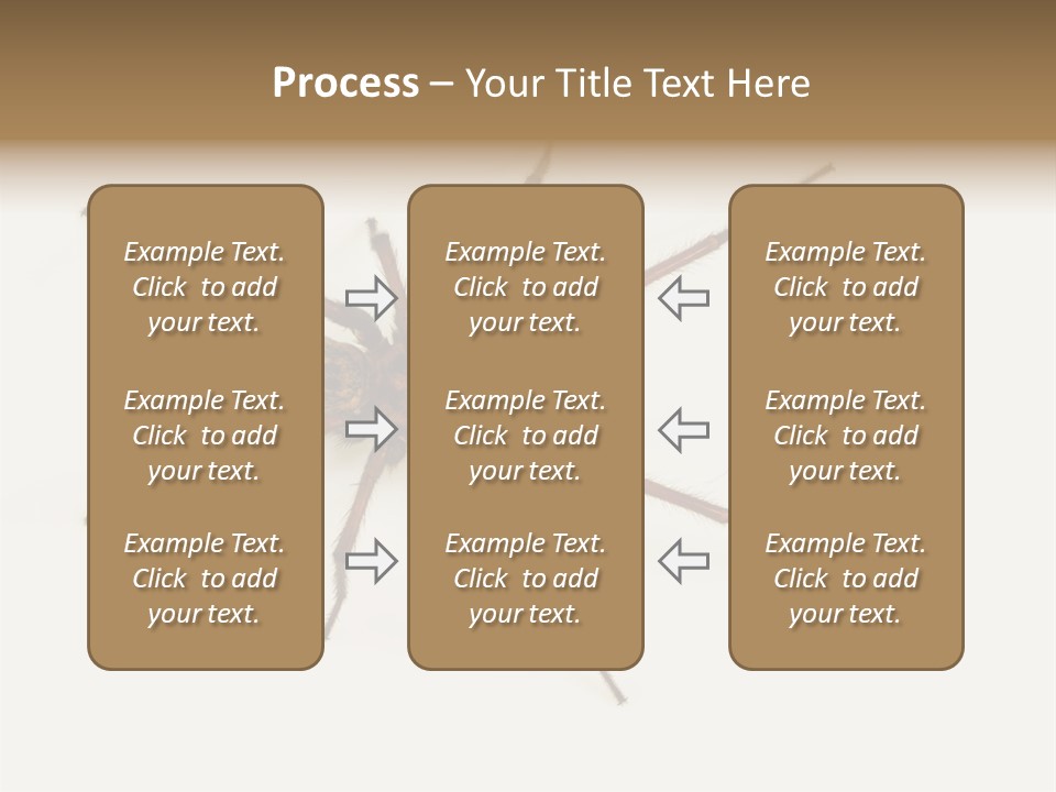 Beach Coastal Wellness PowerPoint Template