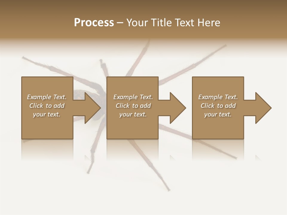 Beach Coastal Wellness PowerPoint Template
