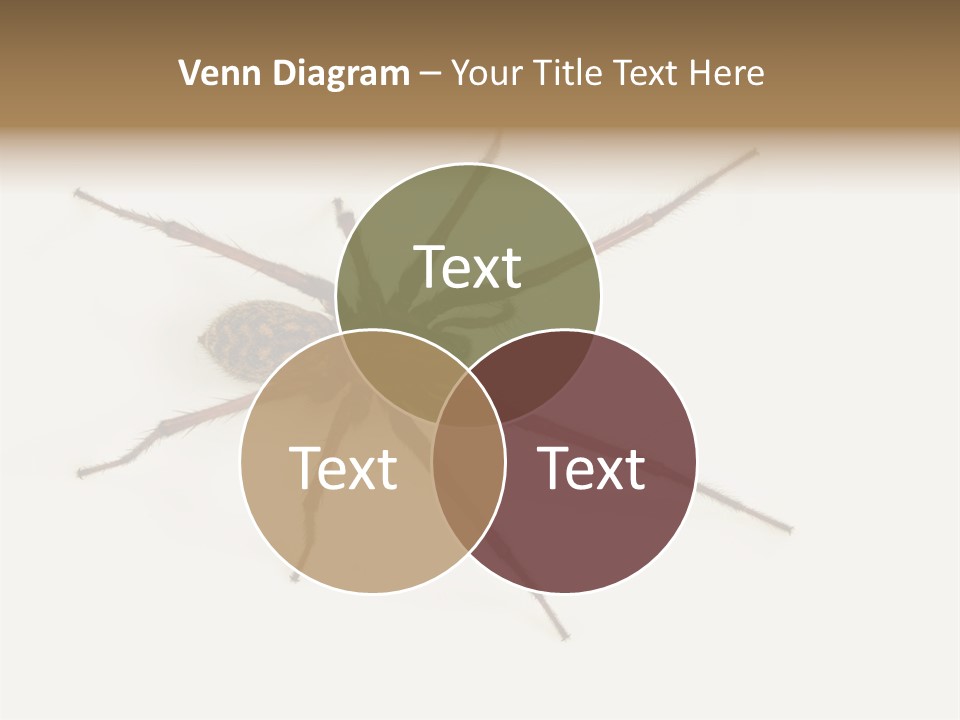 Beach Coastal Wellness PowerPoint Template