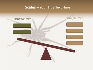 Beach Coastal Wellness PowerPoint Template