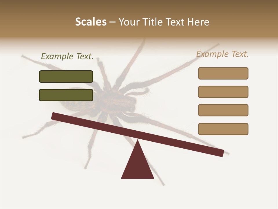 Beach Coastal Wellness PowerPoint Template