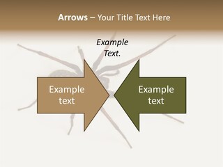 Beach Coastal Wellness PowerPoint Template