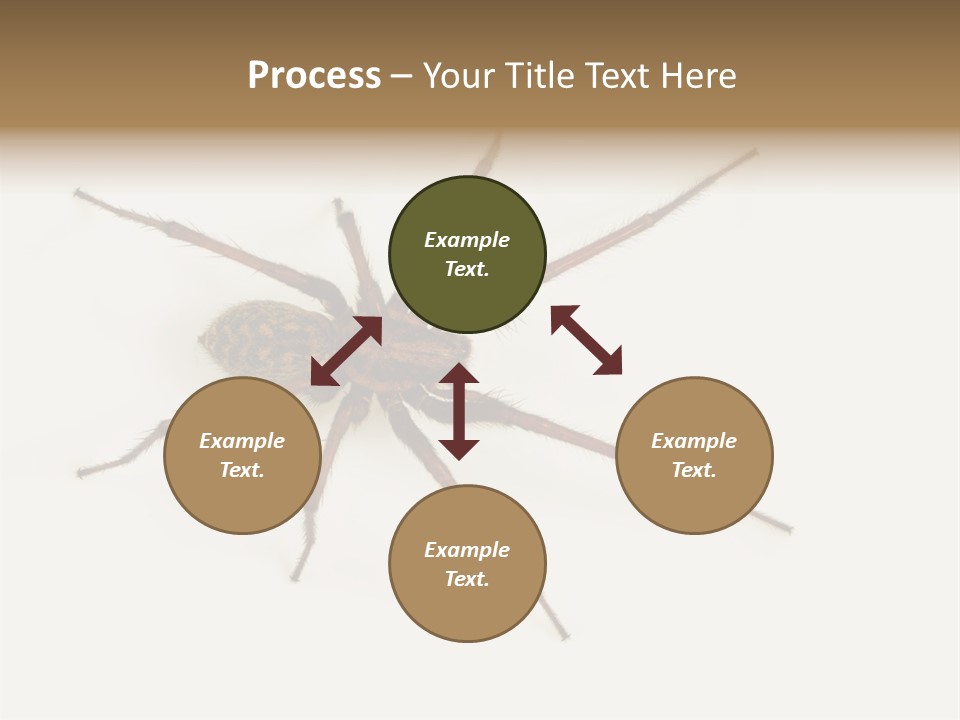 Beach Coastal Wellness PowerPoint Template