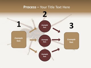 Beach Coastal Wellness PowerPoint Template