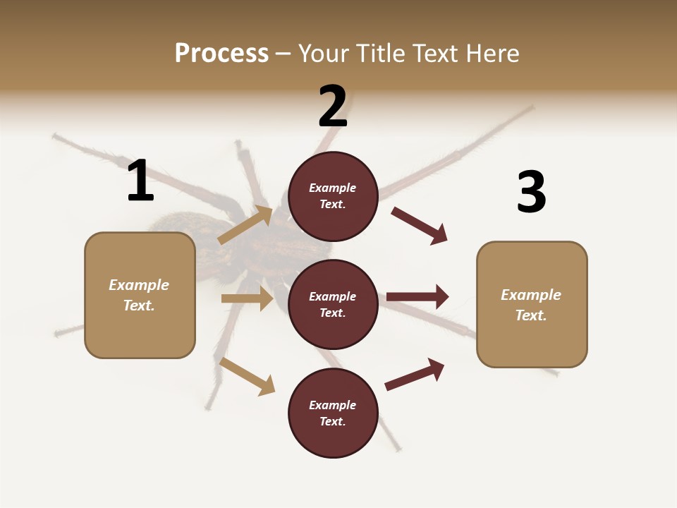 Beach Coastal Wellness PowerPoint Template