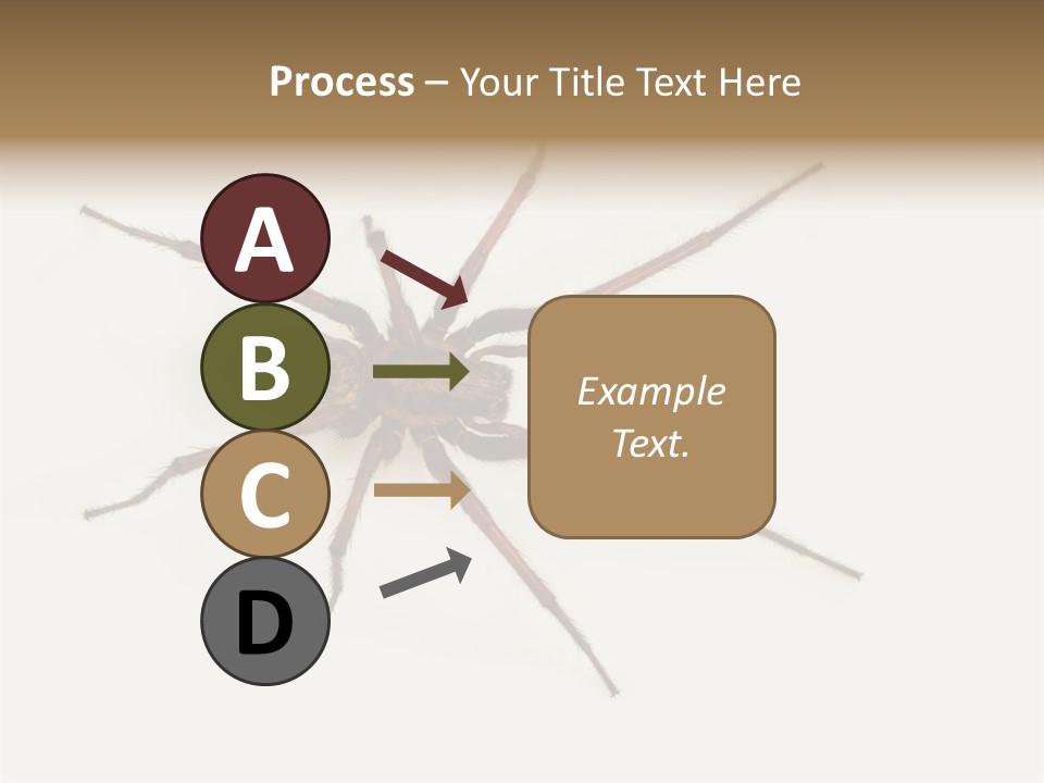 Beach Coastal Wellness PowerPoint Template