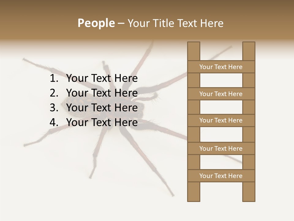 Beach Coastal Wellness PowerPoint Template