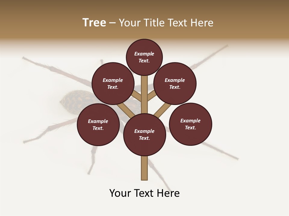 Beach Coastal Wellness PowerPoint Template