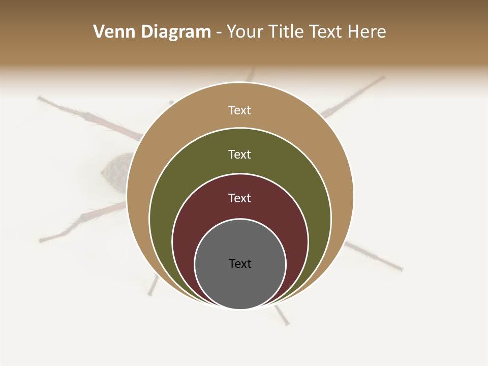 Beach Coastal Wellness PowerPoint Template