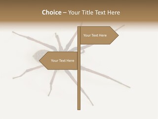 Beach Coastal Wellness PowerPoint Template