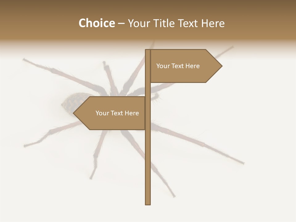 Beach Coastal Wellness PowerPoint Template