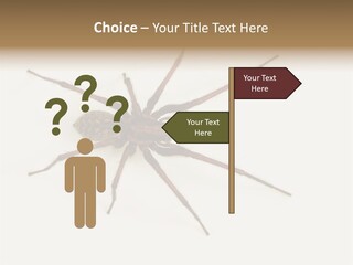 Beach Coastal Wellness PowerPoint Template