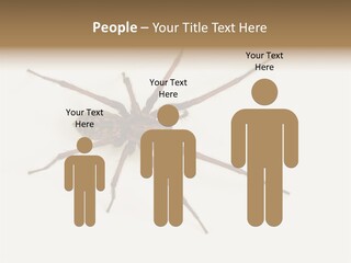 Beach Coastal Wellness PowerPoint Template