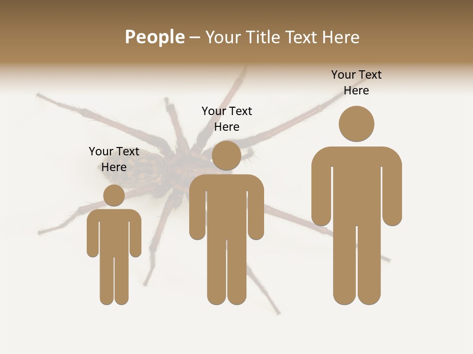 Beach Coastal Wellness PowerPoint Template