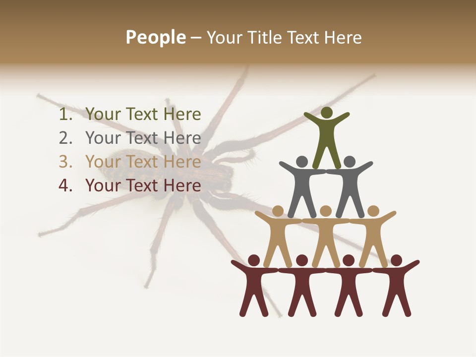 Beach Coastal Wellness PowerPoint Template