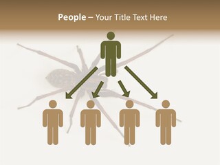 Beach Coastal Wellness PowerPoint Template