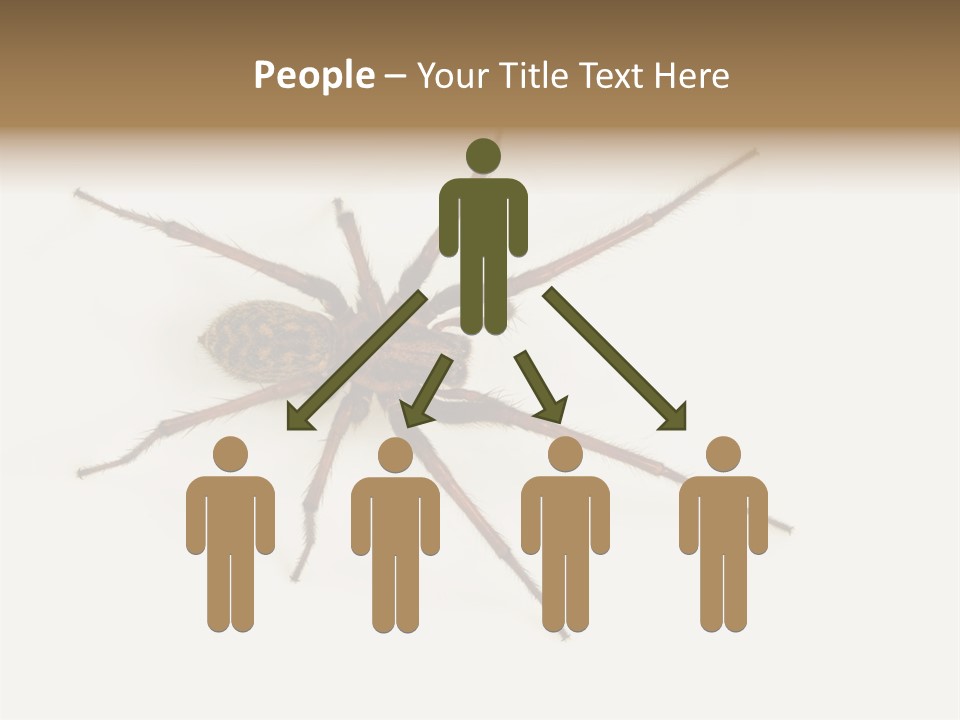 Beach Coastal Wellness PowerPoint Template