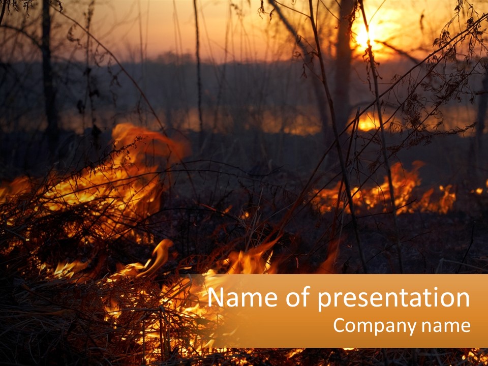 Sunset Parent Caucasian PowerPoint Template