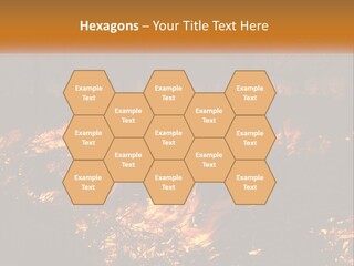 Sunset Parent Caucasian PowerPoint Template