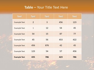 Sunset Parent Caucasian PowerPoint Template