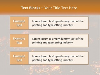 Sunset Parent Caucasian PowerPoint Template