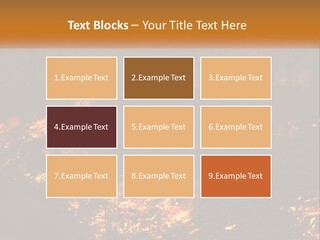 Sunset Parent Caucasian PowerPoint Template