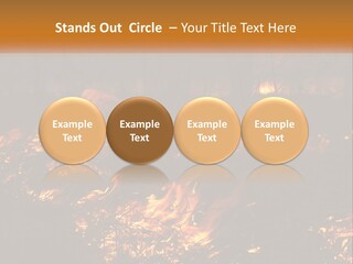 Sunset Parent Caucasian PowerPoint Template