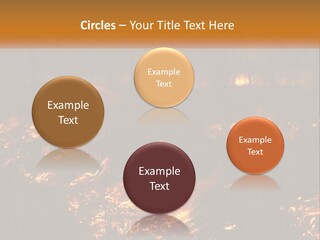 Sunset Parent Caucasian PowerPoint Template