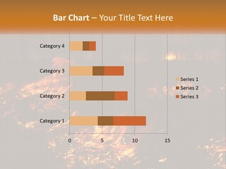 Sunset Parent Caucasian PowerPoint Template