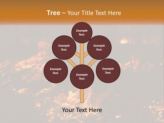 Sunset Parent Caucasian PowerPoint Template