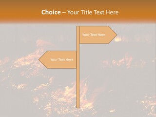 Sunset Parent Caucasian PowerPoint Template