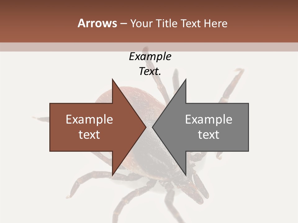 Sad Elderly Retirement PowerPoint Template