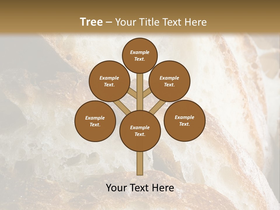 Retirement Caucasian Sunset PowerPoint Template
